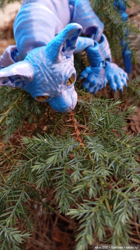 Голубой, голубой или день котиков (фото 6)