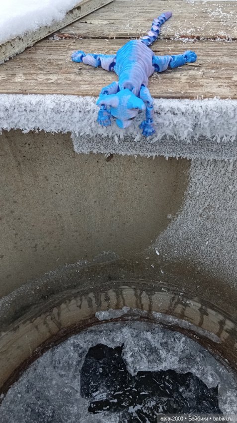 Голубой, голубой или день котиков