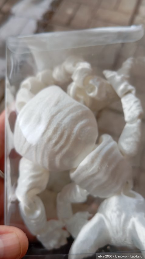 Голубой, голубой или день котиков