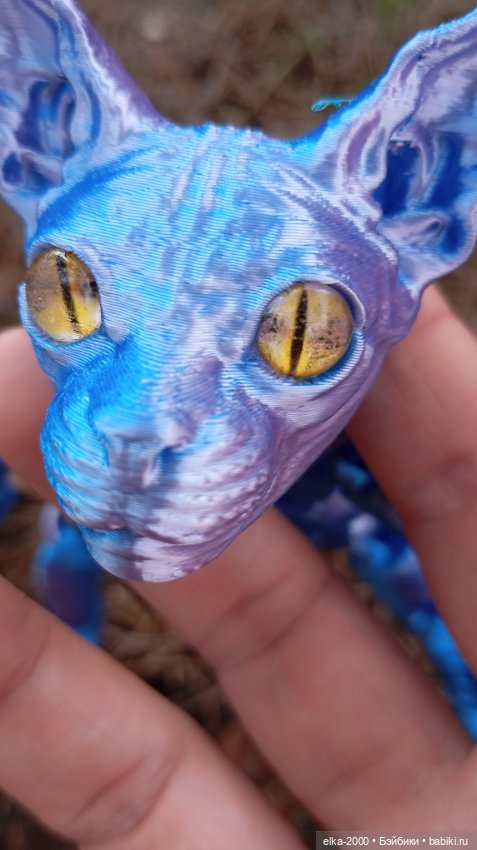 Голубой, голубой или день котиков (фото 7)