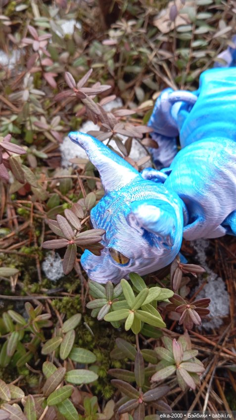 Голубой, голубой или день котиков