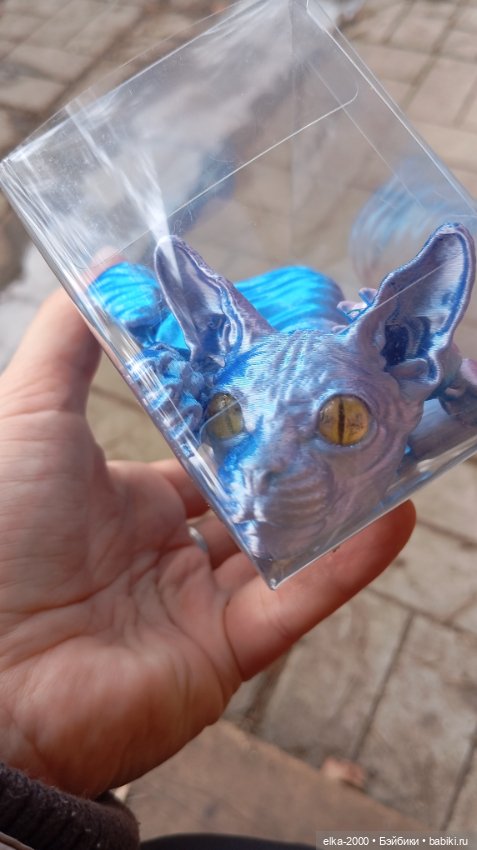 Голубой, голубой или день котиков (фото 2)