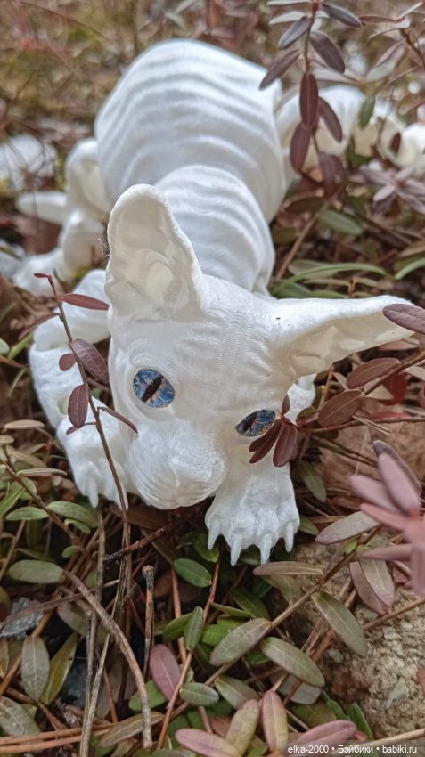 Голубой, голубой или день котиков