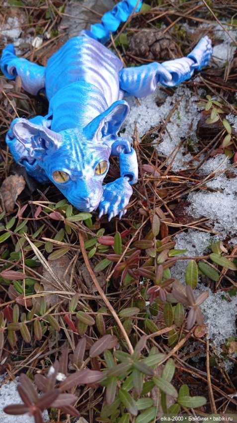 Голубой, голубой или день котиков