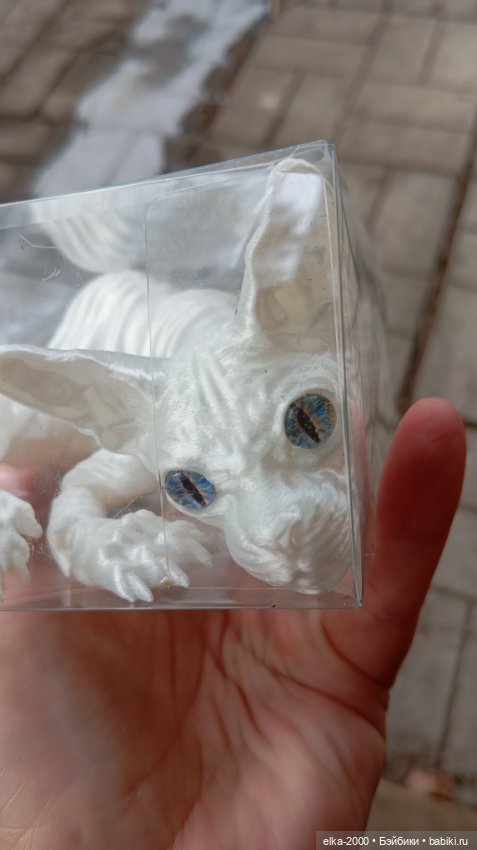 Голубой, голубой или день котиков