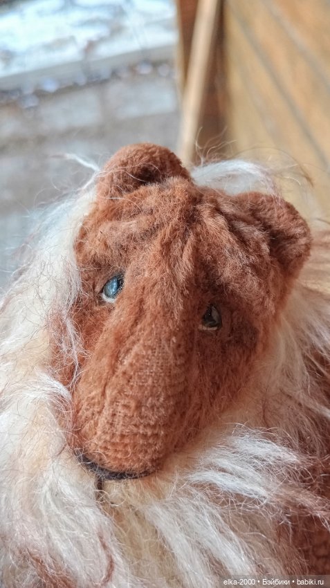 Голубой, голубой или день котиков