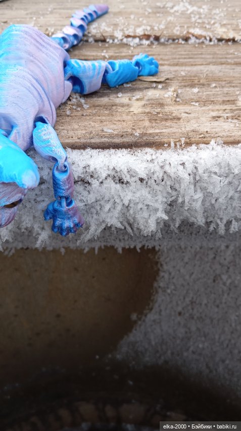 Голубой, голубой или день котиков