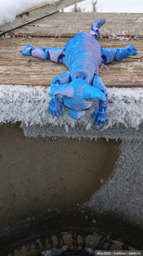 Голубой, голубой или день котиков