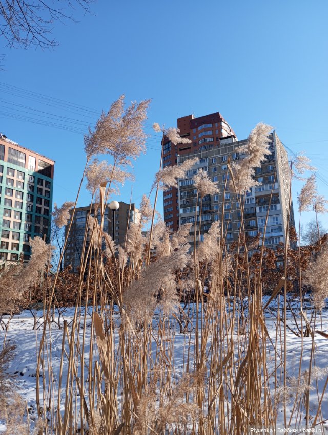 Юнь-Юнь гуляет по Москве — Куклы и тела UFdoll (ЮФдолл): Blind Box (фото 3)