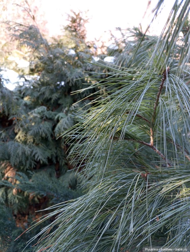 Юнь-Юнь гуляет по Москве — Куклы и тела UFdoll (ЮФдолл): Blind Box (фото 5)