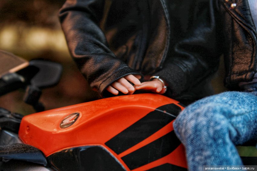 Скорость и свобода — Куклы Barbie (Барби): Looks