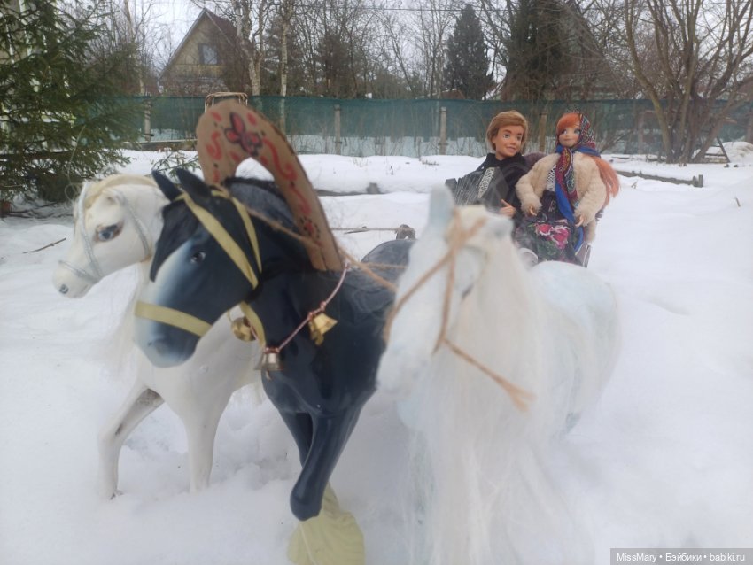 Масленица. Катание на санях (фото 8)