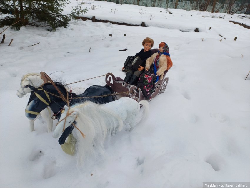 Масленица. Катание на санях (фото 10)
