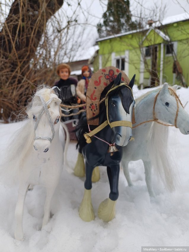 Масленица. Катание на санях (фото 5)