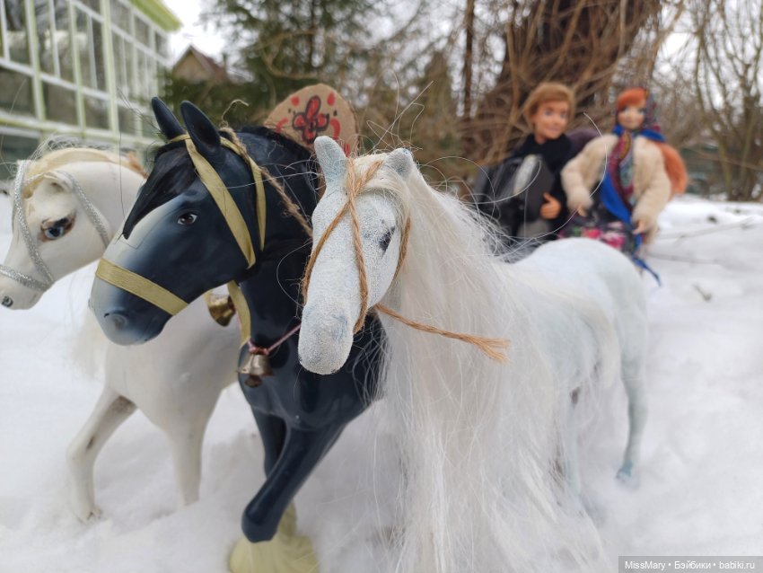 Масленица. Катание на санях (фото 6)