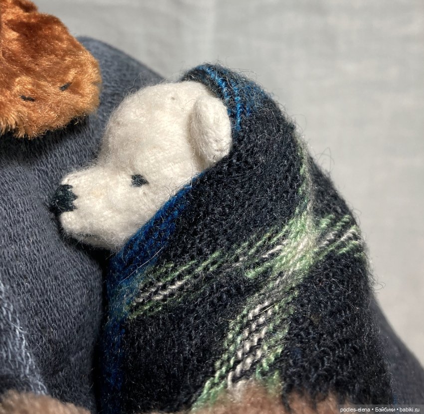 Переселение с Северного полюса (фото 6)