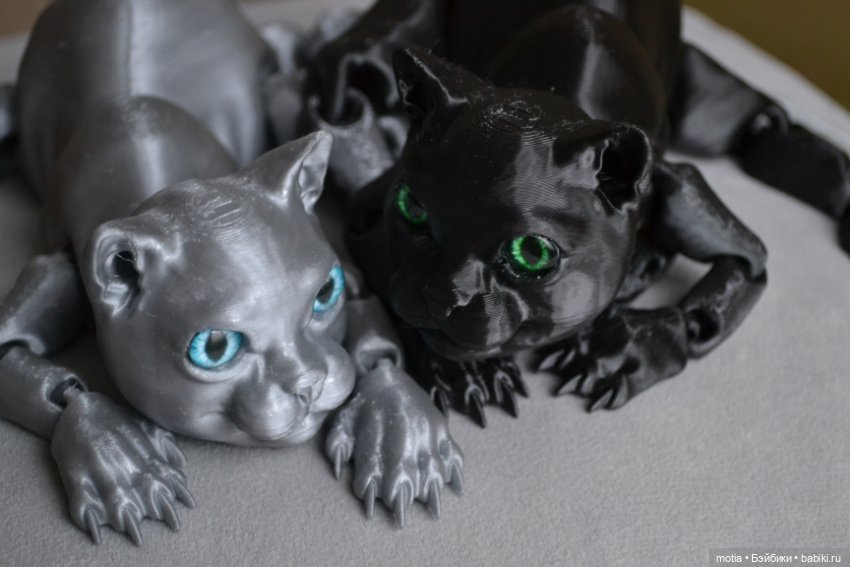 Опять котики?! Да,опять — Интересное и необычное: фотоподборки (фото 7)