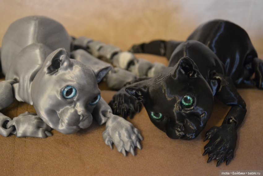 Опять котики?! Да,опять — Интересное и необычное: фотоподборки (фото 10)