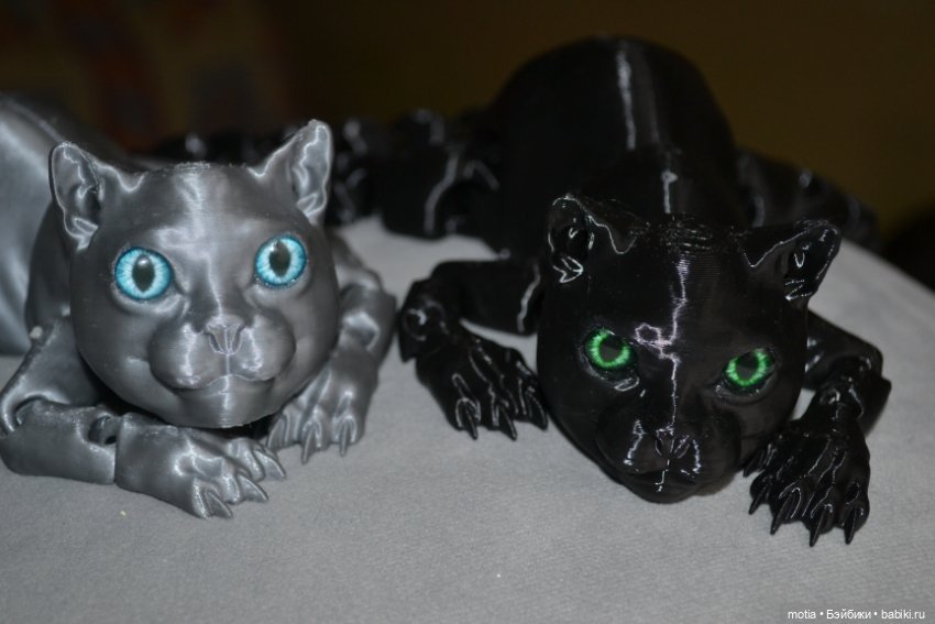 Опять котики?! Да,опять — Интересное и необычное: фотоподборки (фото 3)