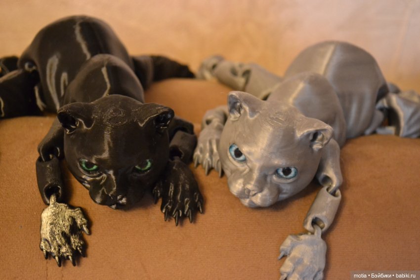 Опять котики?! Да,опять — Интересное и необычное: фотоподборки (фото 8)