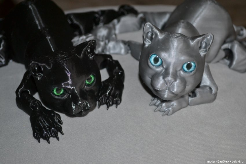 Опять котики?! Да,опять — Интересное и необычное: фотоподборки (фото 2)