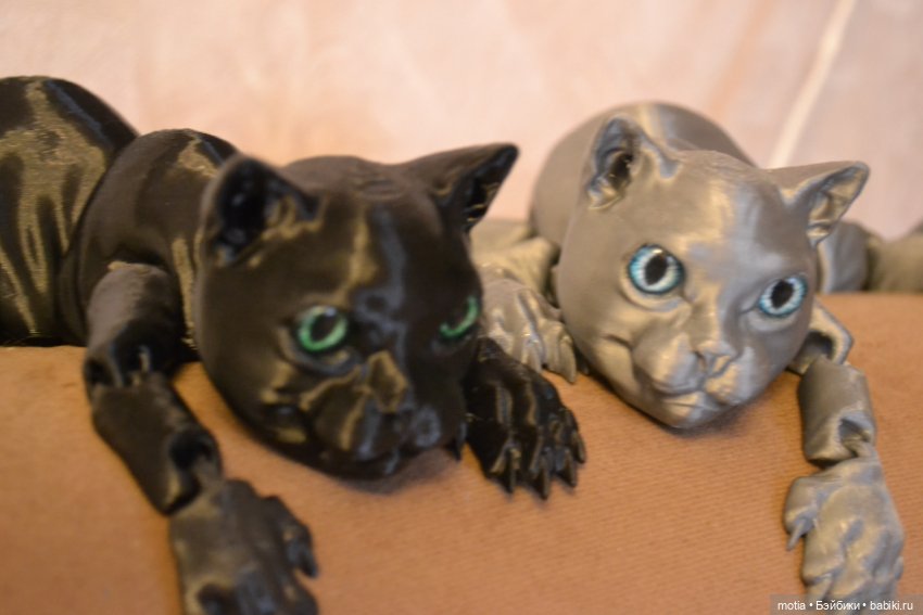 Опять котики?! Да,опять — Интересное и необычное: фотоподборки (фото 9)