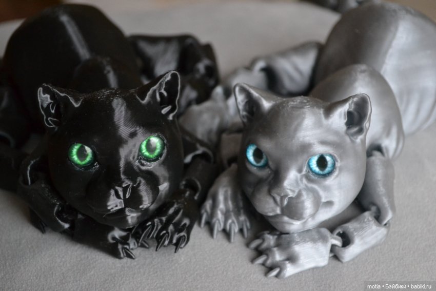 Опять котики?! Да,опять — Интересное и необычное: фотоподборки (фото 6)
