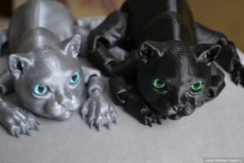 Опять котики?! Да,опять — Интересное и необычное: фотоподборки (фото 5)