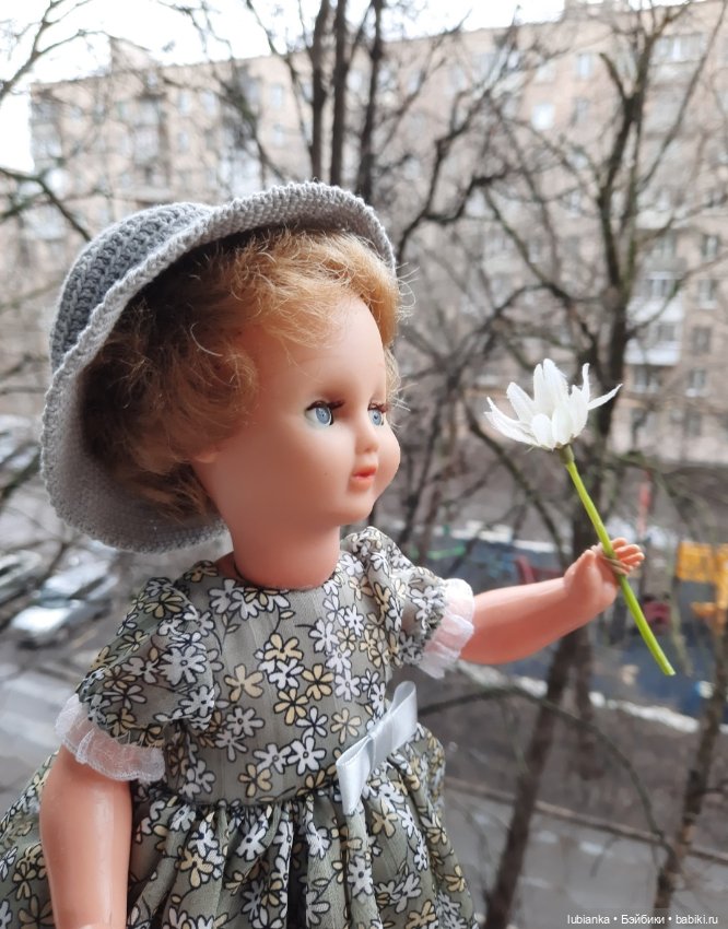 Уже так хочется ромашек🌼🌱