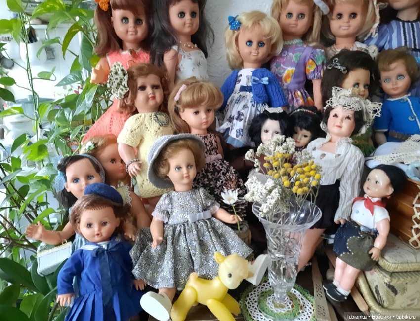 Уже так хочется ромашек🌼🌱