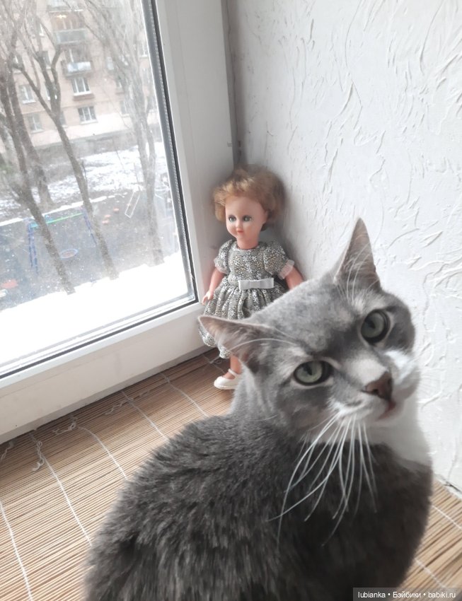 Уже так хочется ромашек🌼🌱