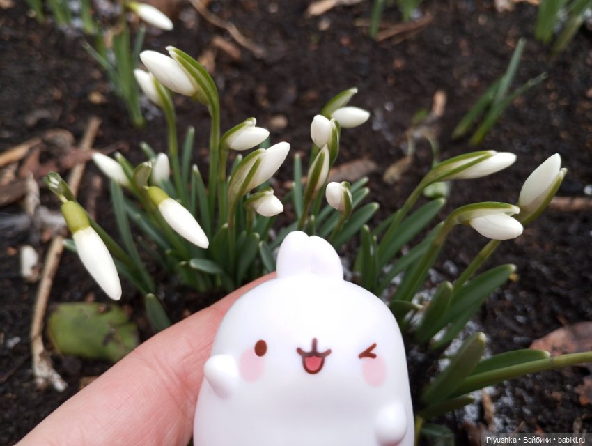 Подснежники и Моланг — Фигурки Киндер Сюрприз (Kinder) (фото 5)