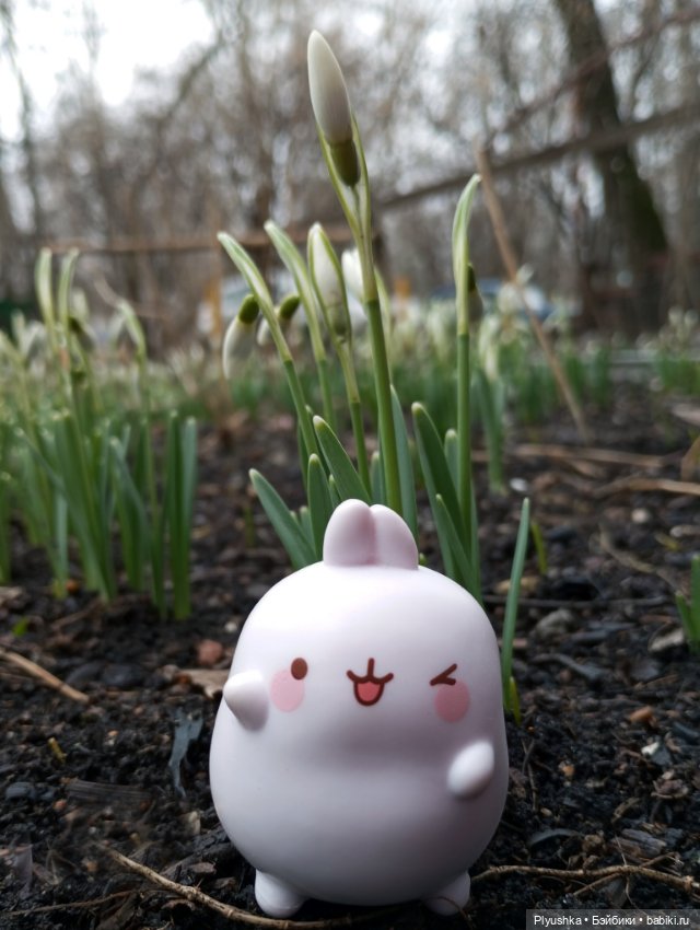 Подснежники и Моланг — Фигурки Киндер Сюрприз (Kinder) (фото 7)