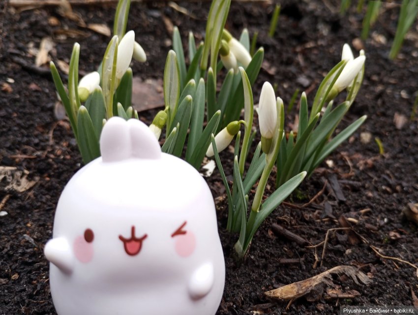 Подснежники и Моланг — Фигурки Киндер Сюрприз (Kinder) (фото 3)