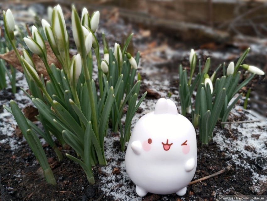 Подснежники и Моланг — Фигурки Киндер Сюрприз (Kinder)