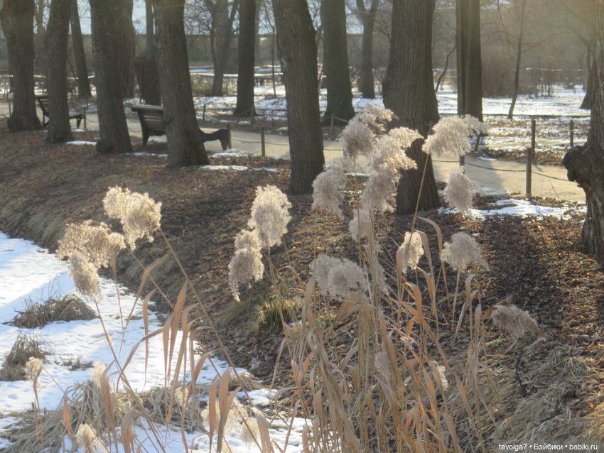 Три очень модных феечки... в Аптекарском Огороде в последний день зимы