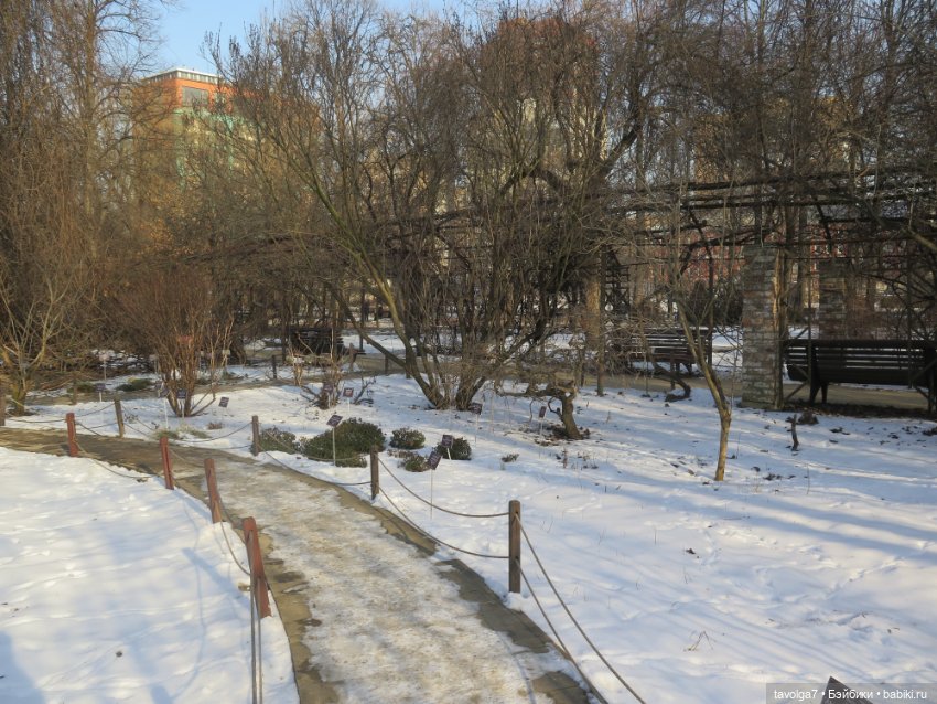 Три очень модных феечки... в Аптекарском Огороде в последний день зимы