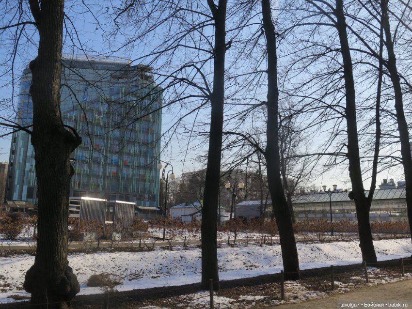 Три очень модных феечки... в Аптекарском Огороде в последний день зимы (фото 6)