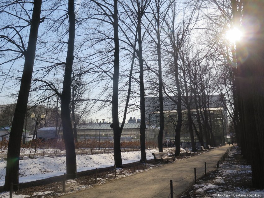 Три очень модных феечки... в Аптекарском Огороде в последний день зимы (фото 5)
