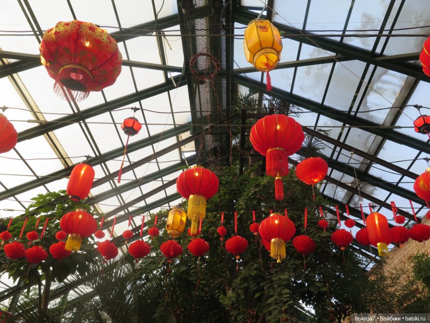 Три очень модных феечки... в Аптекарском Огороде в последний день зимы