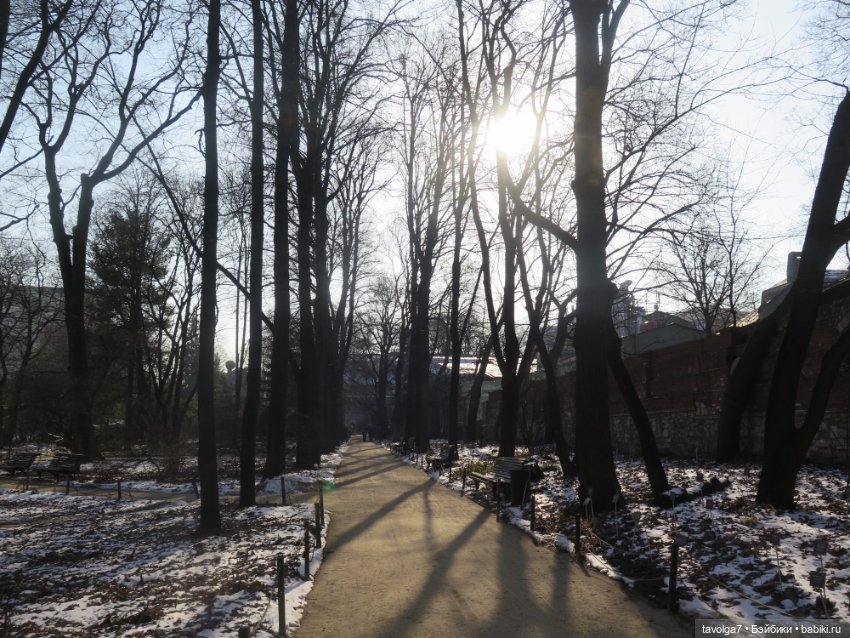 Три очень модных феечки... в Аптекарском Огороде в последний день зимы (фото 8)