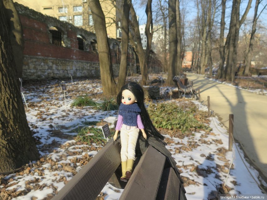 Три очень модных феечки... в Аптекарском Огороде в последний день зимы (фото 10)