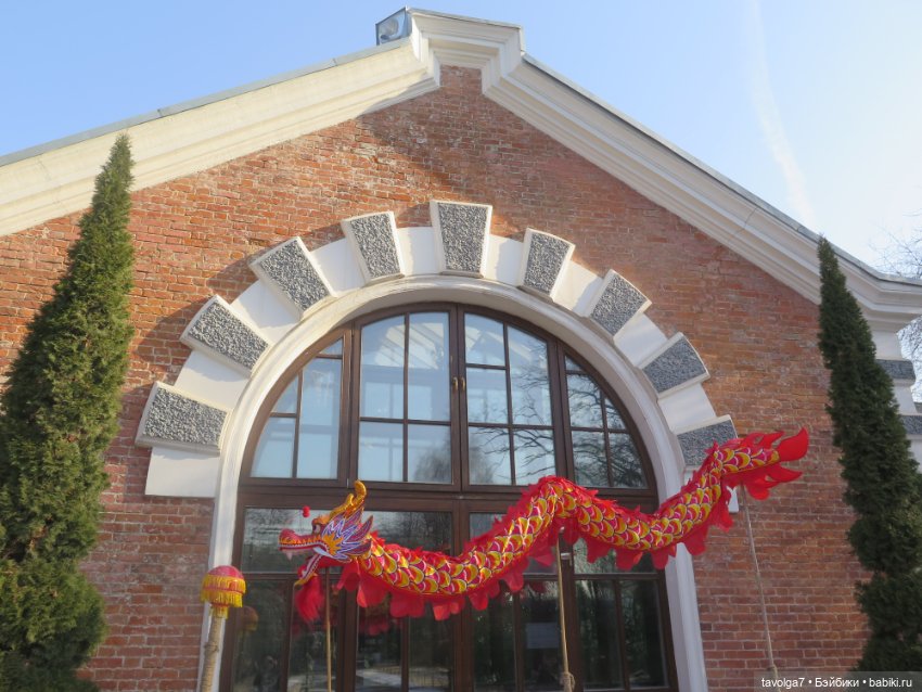 Три очень модных феечки... в Аптекарском Огороде в последний день зимы