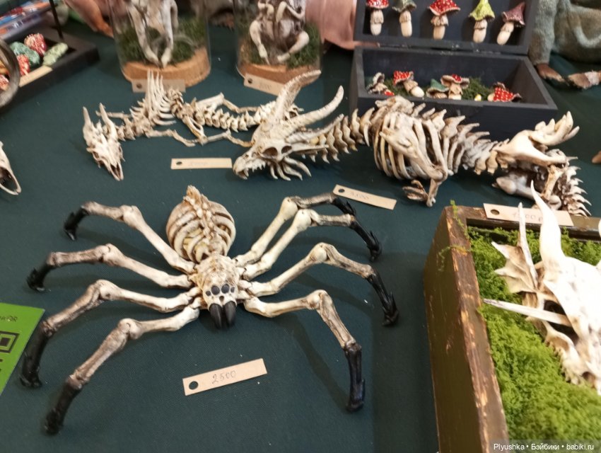 Весенний бал кукол 2025 моими глазами, ч.1