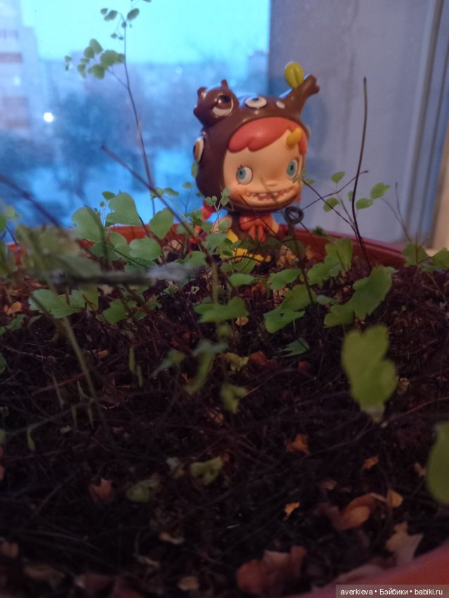 Всех девочек с 8 Мартой!!! К нам приехала Дюдюка