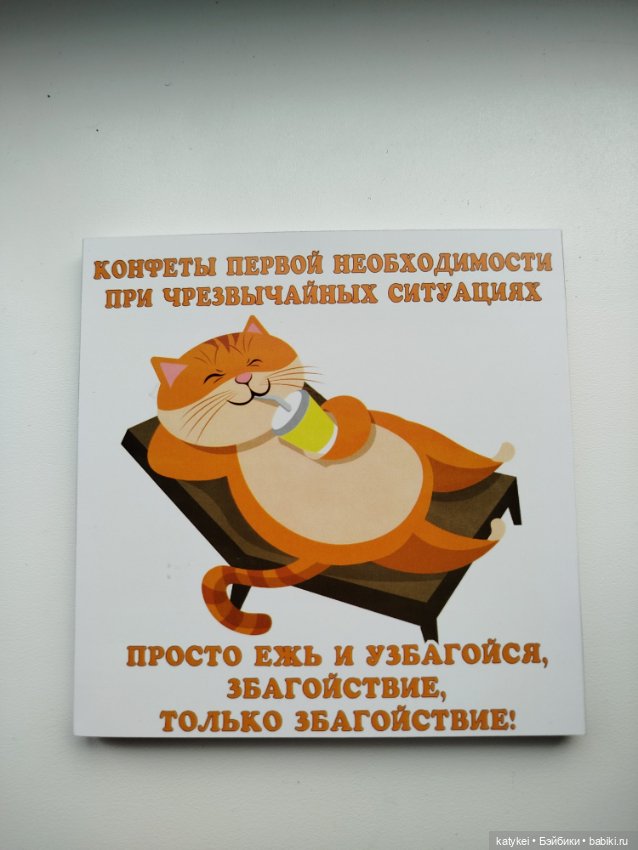Кот и Кит. Красивой женщины должно быть много (фото 7)