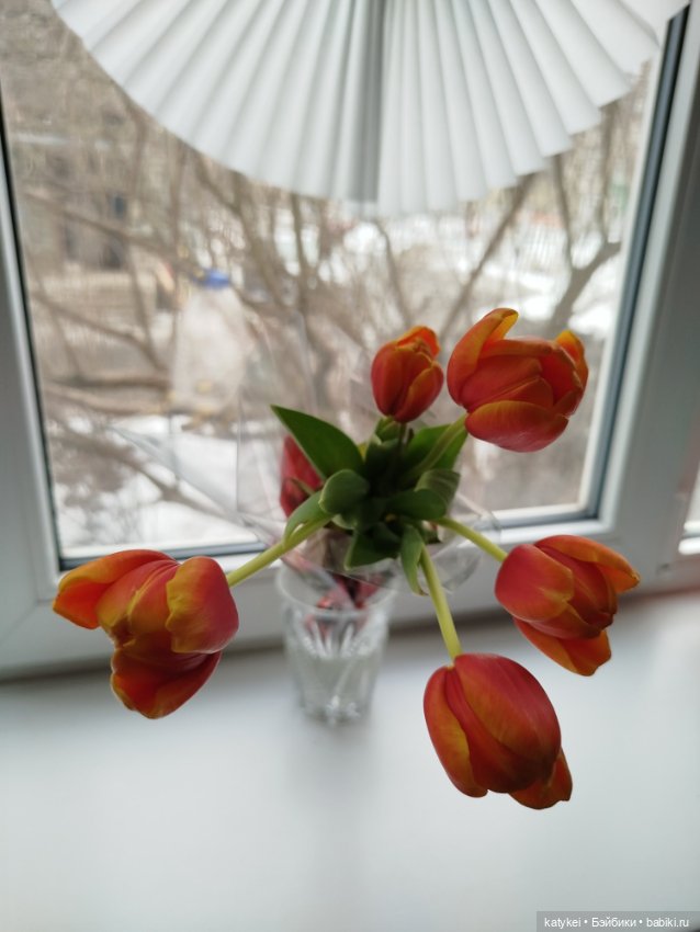 Кот и Кит. Красивой женщины должно быть много