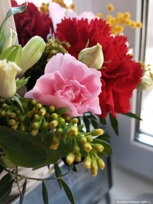 Мы с Юки поздравляем всех с 8 марта (фото 9)