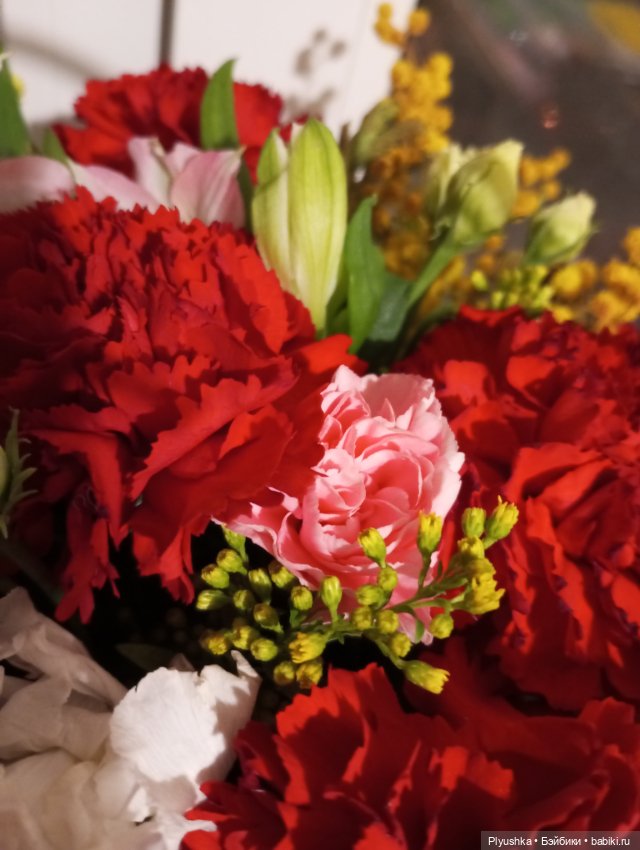 Мы с Юки поздравляем всех с 8 марта (фото 2)