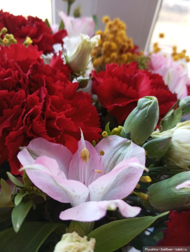 Мы с Юки поздравляем всех с 8 марта (фото 8)